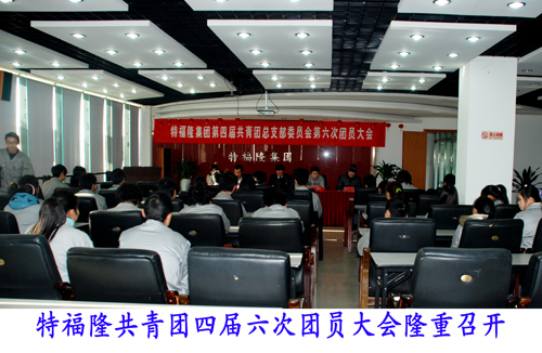 特福隆共青团四届六次团员大会隆重召开