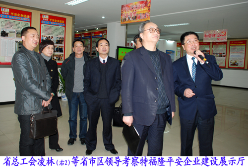 省总“平安浙江工会工作”考核组来特福隆考核
