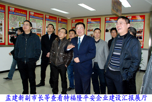 孟建新副市长督查特福隆集团安全生产