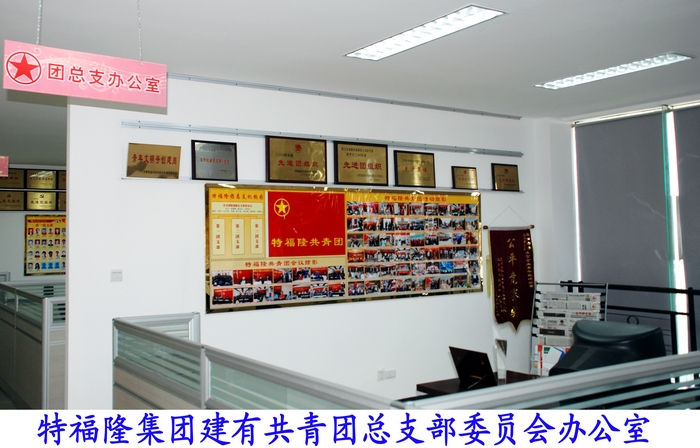 特福隆集团共青团办公室