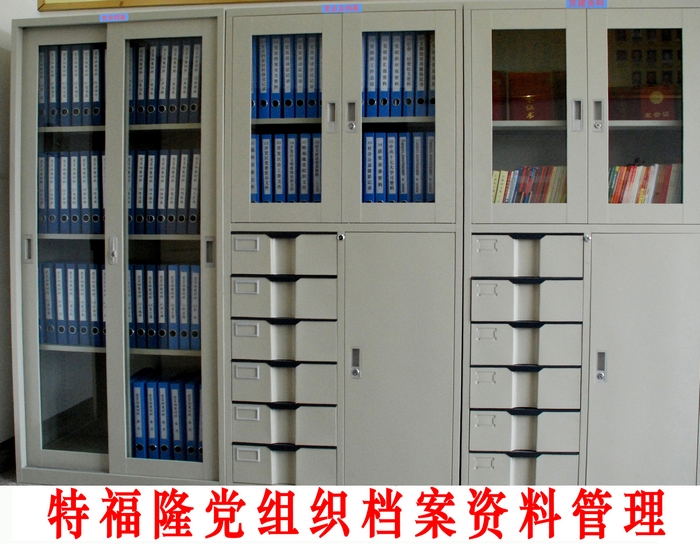 特福隆党建资料