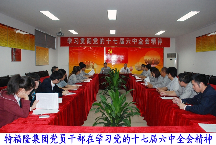 特福隆党员干部学习十七届六中全会精神
