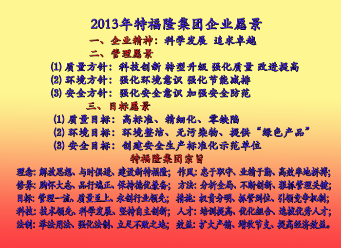2013年特福隆集团企业愿景
