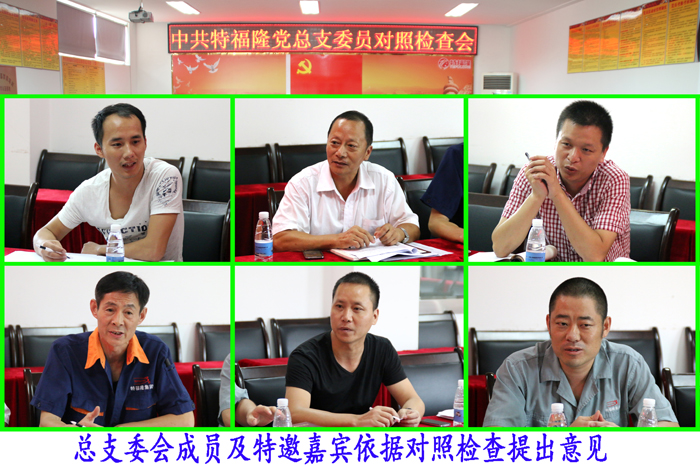 特福隆召开党组织专题组织生活会