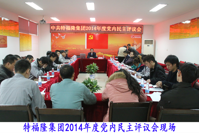 特福隆2014年度党员民主评议会