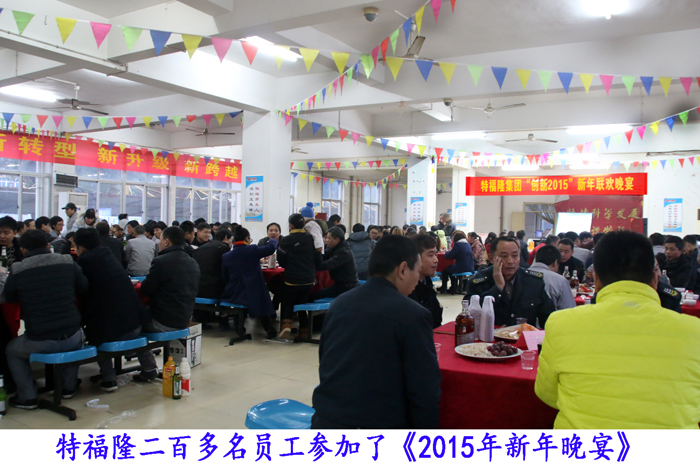 特福隆举办“创新2015”新年职工晚宴