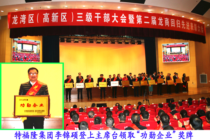 特福隆集团荣获龙湾区功勋企业