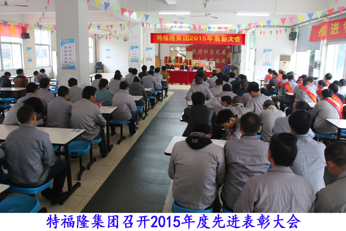 特福隆召开2015年表彰大会